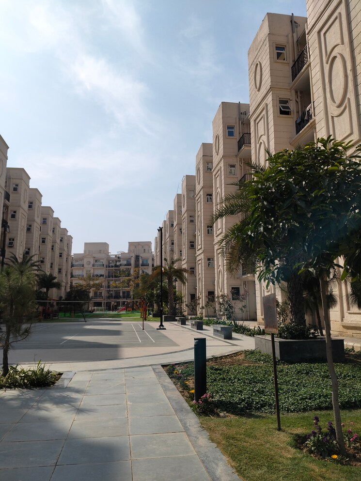 Exterior View, signature-global-park 2 Bedroom 845 Sq.Ft. Builder Floor In Sohna Sector 36 Gurgaon 8695437