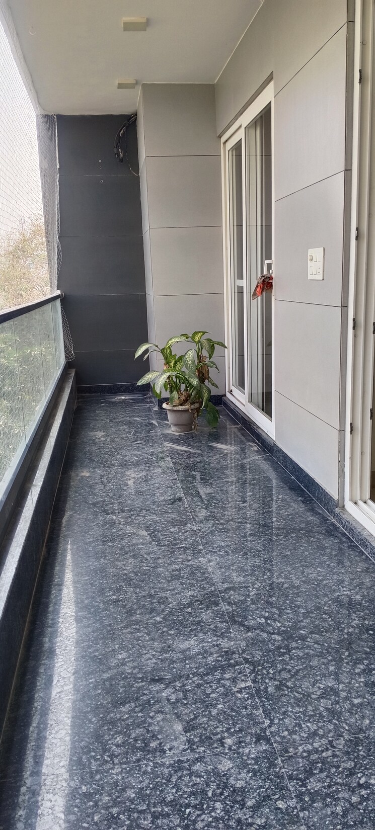 Balcony, tilak nagar 3 Bedroom 1800 Sq.Ft. Builder Floor In Tilak Nagar Delhi 8695639