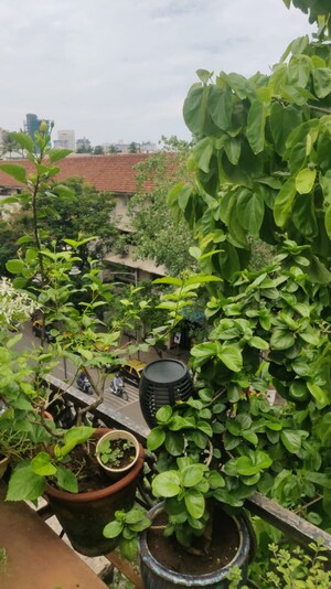 2 BHK Apartment – Garden View at Colaba - for Sale