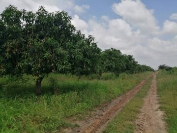  Plot For Sale in Ganeshpur