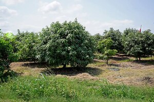 Plot Area in  Plot at Ganeshpur – for Sale