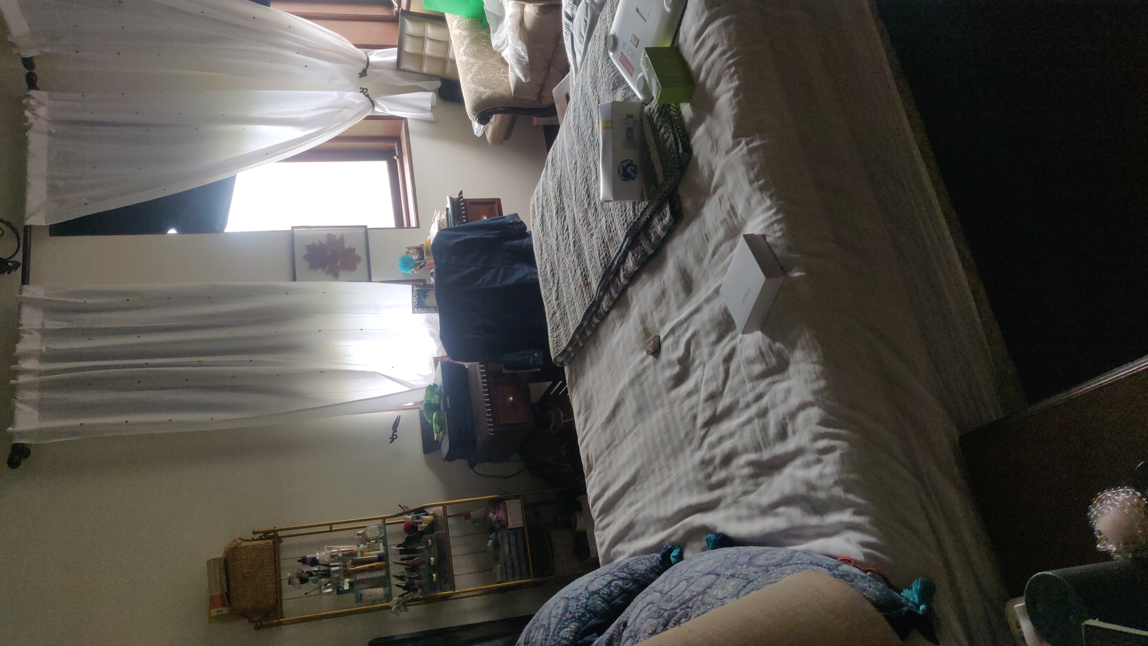 2 BHK + Servant Room Apartment For Sale in Western Bridge 