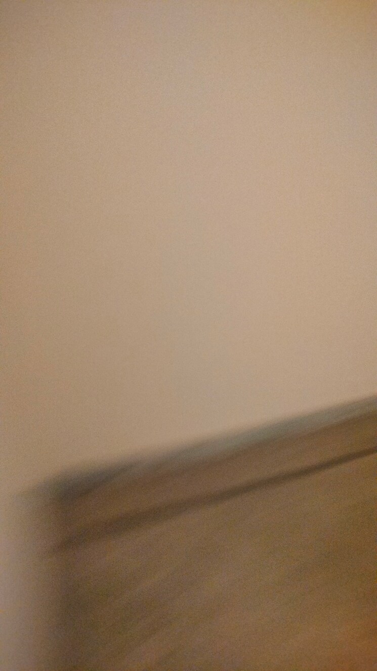 undefined, sector 50 3 Bedroom 250 Sq.Mt. Independent House In Sector 50 Noida 8695991