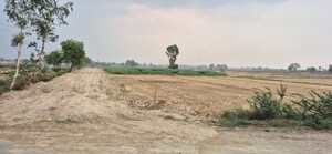  Industrial Plot For Sale in Barhana