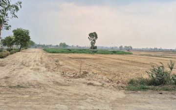 Industrial Plot For Sale in Barhana