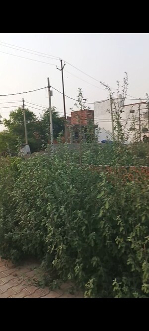 3 BHK Independent House – Garden View at Khatu Shyam Enclave, Duhai - for Sale