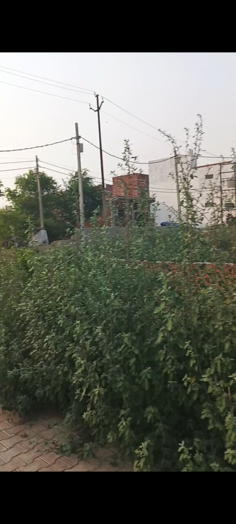 Garden, khatu-shyam-enclave 3 Bedroom 80 Sq.Yd. Independent House In Duhai Ghaziabad 8696248