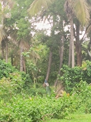  Plot For Sale in Hebbal 2nd Stage