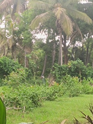  Plot – Garden View at Hebbal 2nd Stage - for Sale