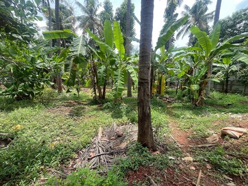  Plot For Sale in Amala