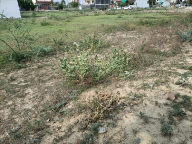 undefined, bptp-parklands  250 Sq.Yd. Plot In Sector 76 Faridabad 8696930
