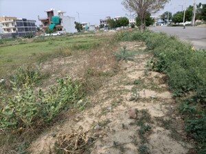 Plot Area in  Plot at BPTP Parklands, Sector 76 – for Sale