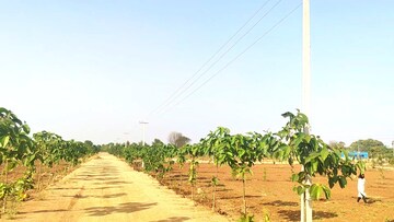 Plot Area in  Plot at Peddapur – for Sale