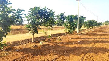 Plot Area in  Plot at Peddapur – for Sale