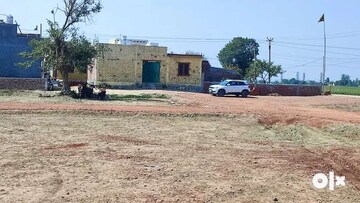 Plot Area in  Plot at Sector 142 – for Sale