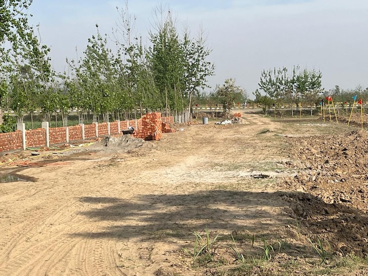 undefined, delhi haridwar national highway  133 Sq.Yd. Plot In DelhI Haridwar National Highway Roorkee 8697362