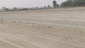 Plot Area in  Plot at Raebareli Road – for Sale