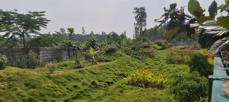 Garden, skh-echium  1200 Sq.Ft. Plot In Whitefield Bangalore 8697579