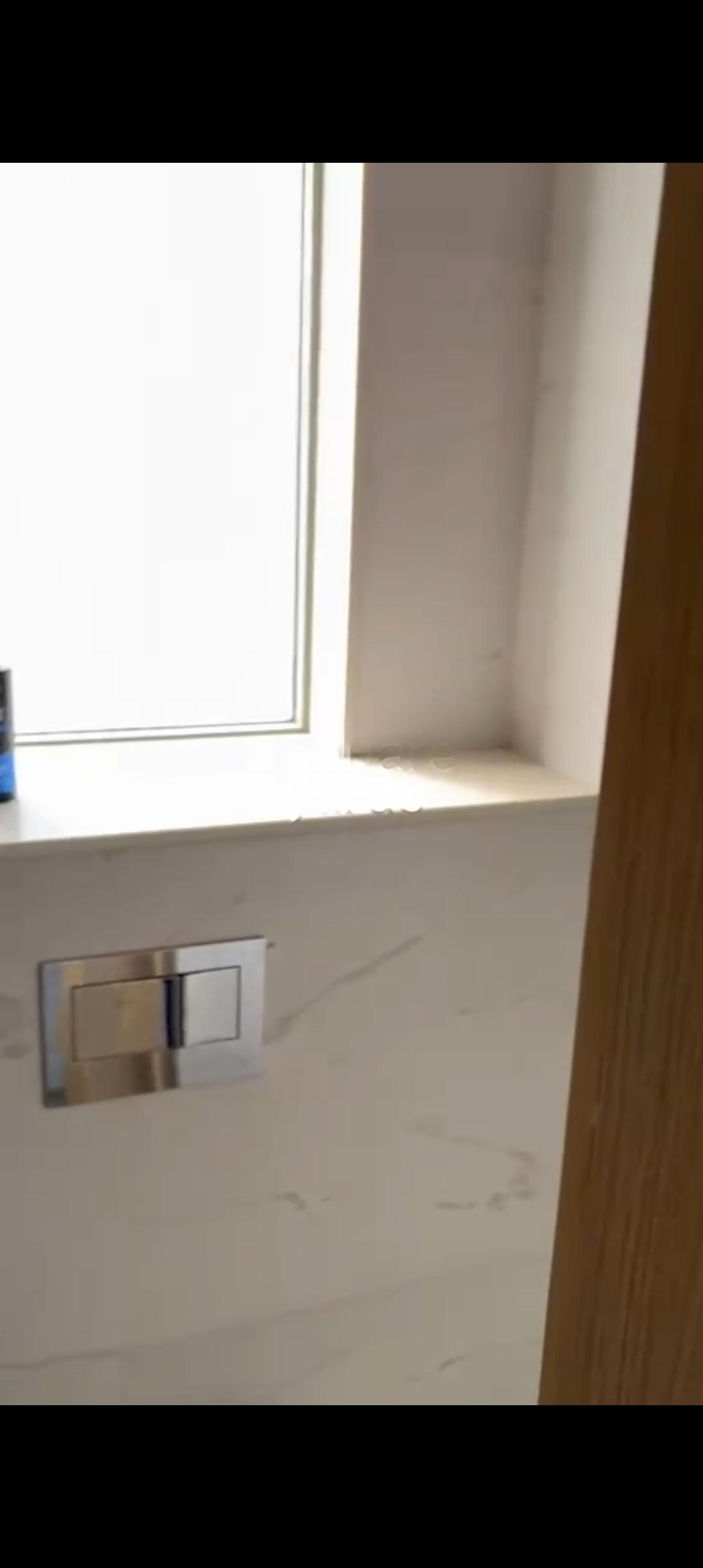 1 BHK Apartment For Rent in LnT Veridian