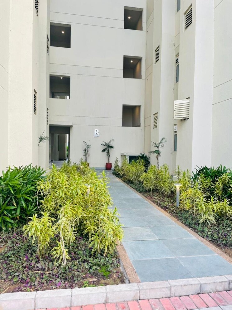 Exterior View, international airport road 2 Bedroom 1100 Sq.Ft. Apartment In International Airport Road Zirakpur 8697587
