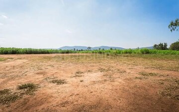  Plot For Sale in Shramik Kunj Noida, Sector 122