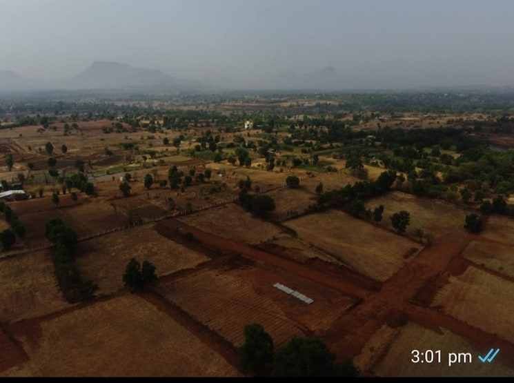 undefined, adgaon  20000 Sq.Ft. Plot In Adgaon Nashik 8698018