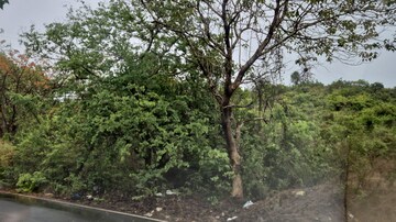 Plot Area in  Plot at Cuncolim – for Sale