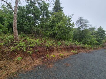  Plot For Sale in Cuncolim