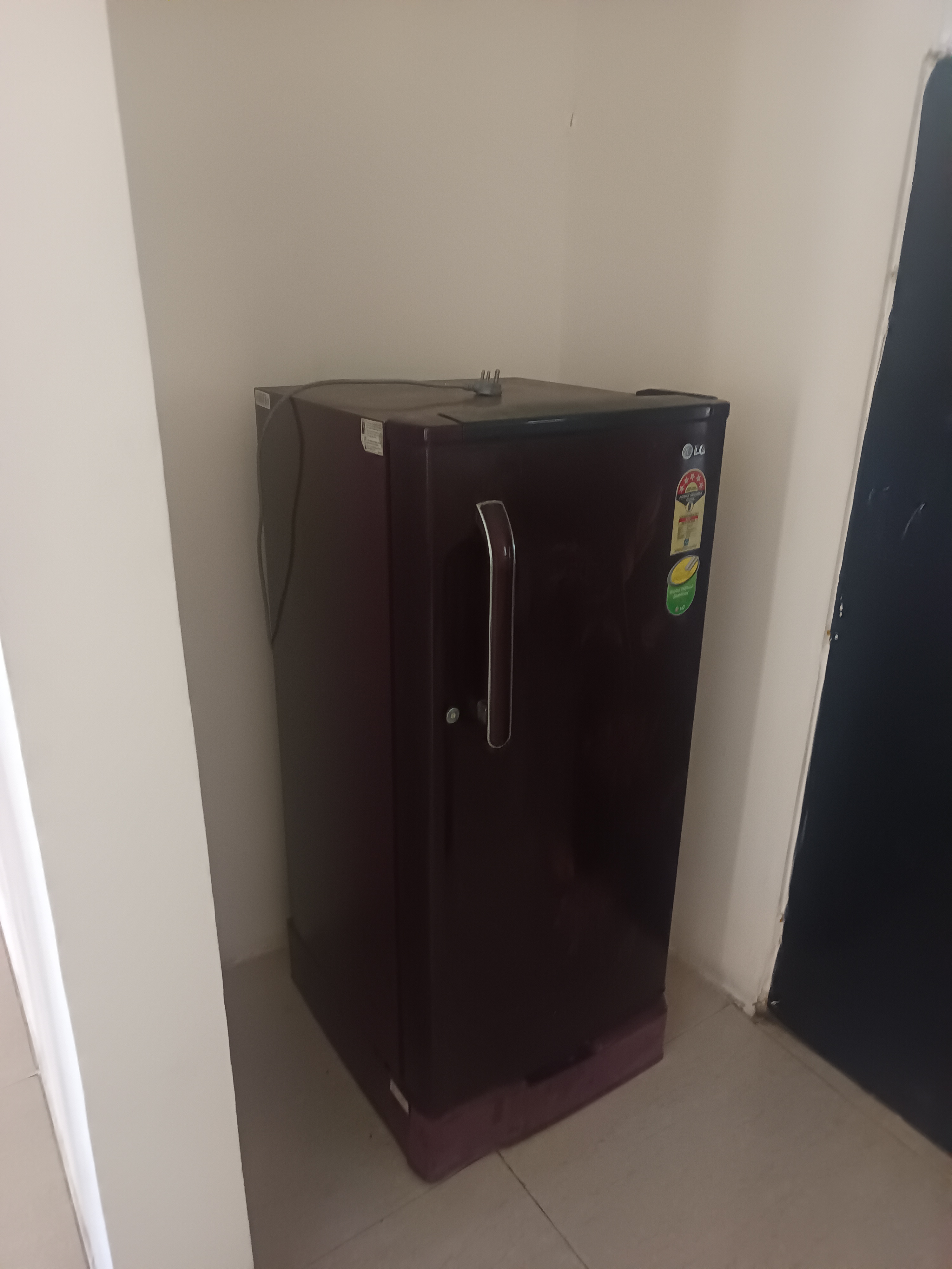 2 BHK Apartment For Rent in Belvalkars Solacia II