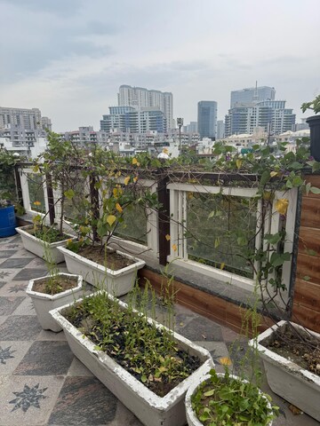 Balcony in 2 BHK Builder Floor at Gupta Awas, Sector 43 – for Rent