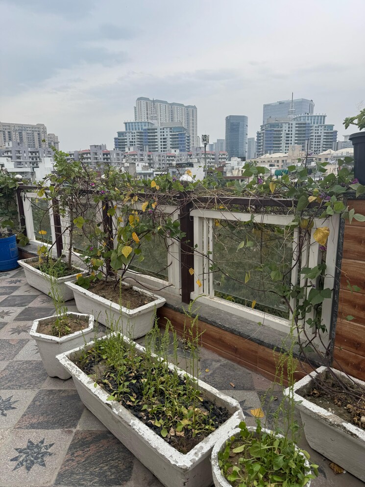 Balcony, gupta-awas 2 Bedroom 1500 Sq.Ft. Builder Floor In Sector 43 Gurgaon 8699094