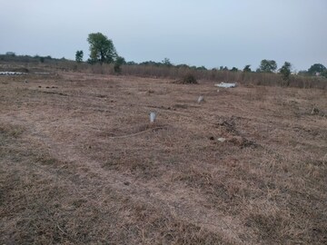 Plot Area in  Plot at Nara – for Sale
