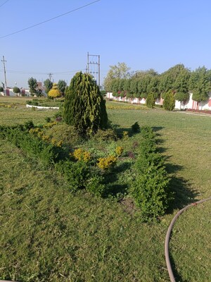  Land – Garden View at Ringnodiya - for Sale