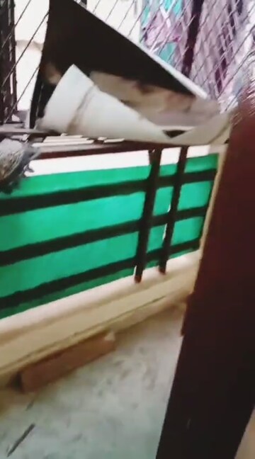 Staircase in 1 BHK Builder Floor at Mehrauli – for Rent