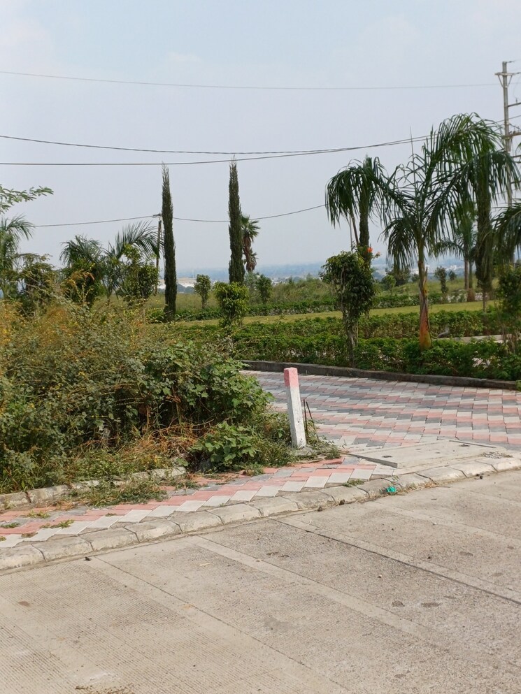 undefined, ringnodiya  675 Sq.Ft. Plot In Ringnodiya Indore 8699186