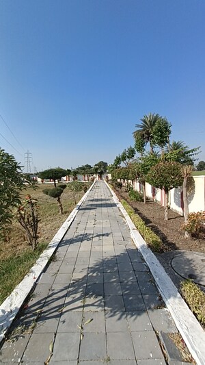  Plot For Sale in Ringnodiya