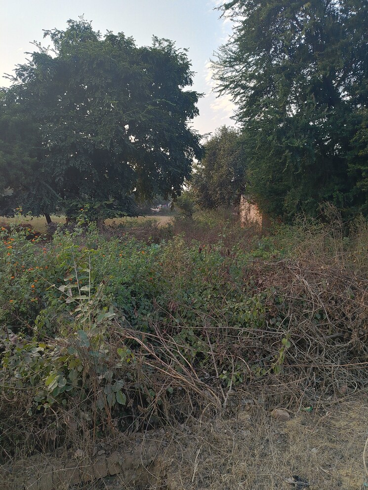 undefined, nijampur malhaur  3100 Sq.Ft. Plot In Nijampur Malhaur Lucknow 8699287