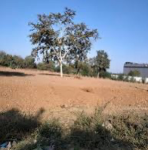 Plot Area in  Plot at Laxmanpura – for Sale