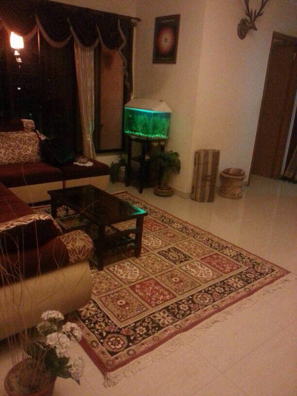 1 BHK Apartment For Rent in Poonam Enclave