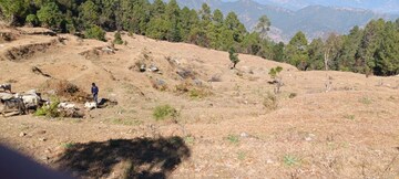 Plot Area in  Plot at Palwal – for Sale