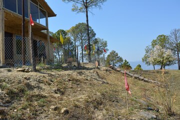  Plot For Sale in Palwal