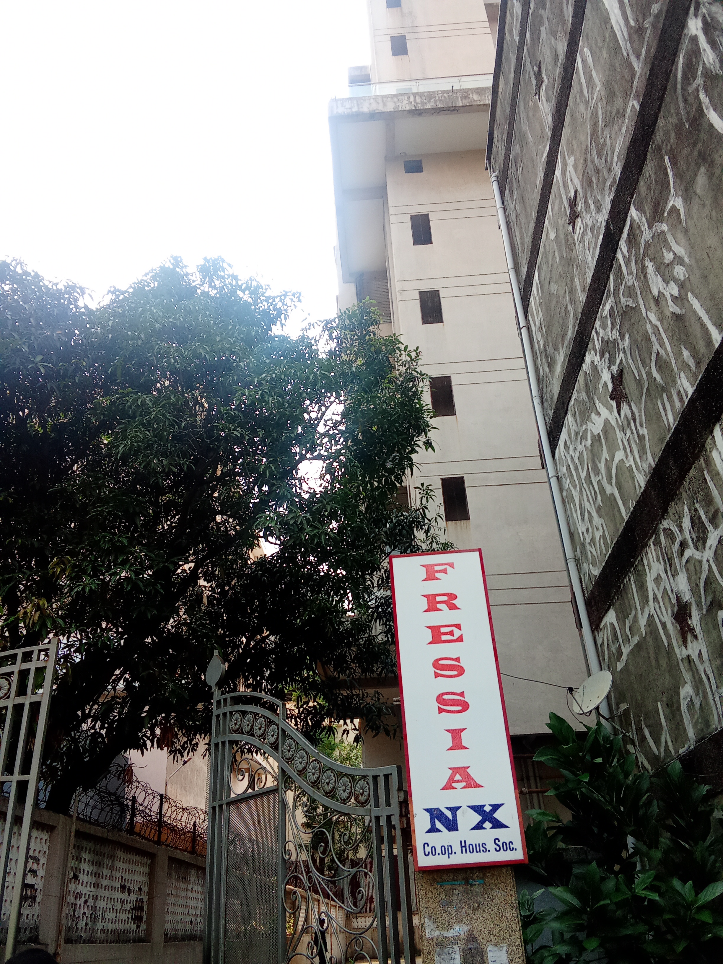 2 BHK Apartment For Rent in DV Fressia NX