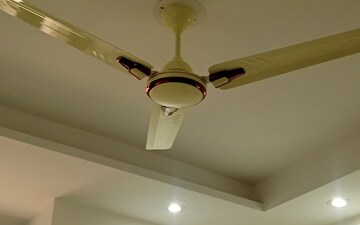 1 RK Builder Floor For Rent in Palam