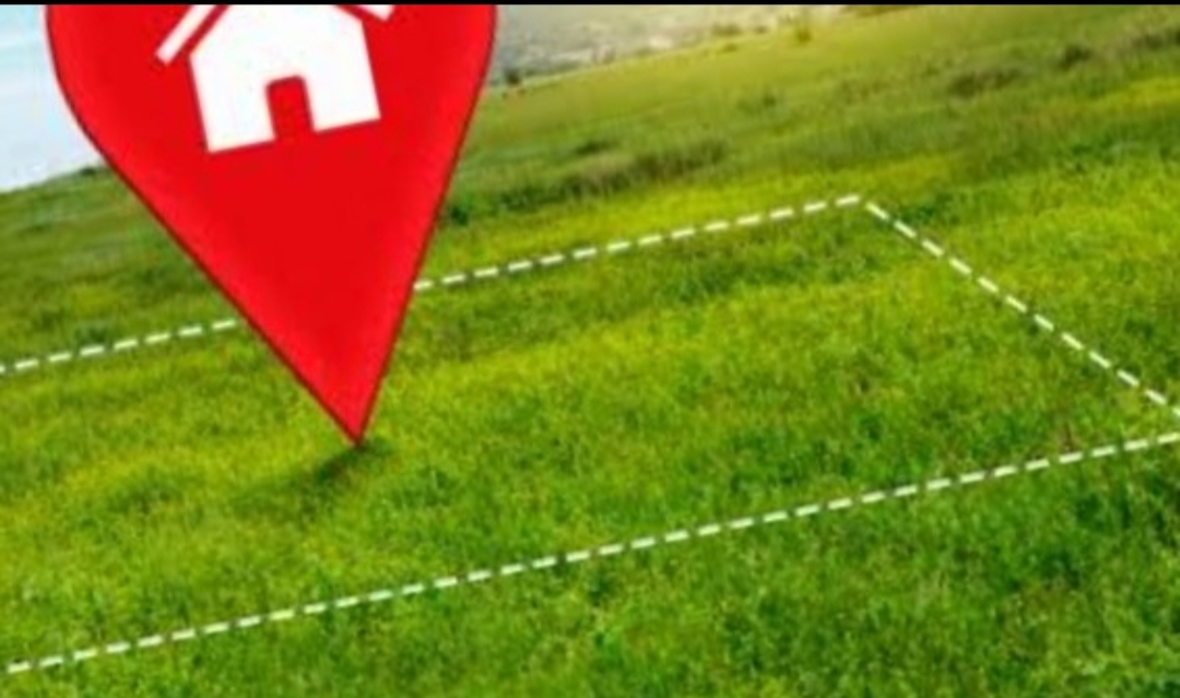 Plot For Sale in Housing Board Colony Sector 51