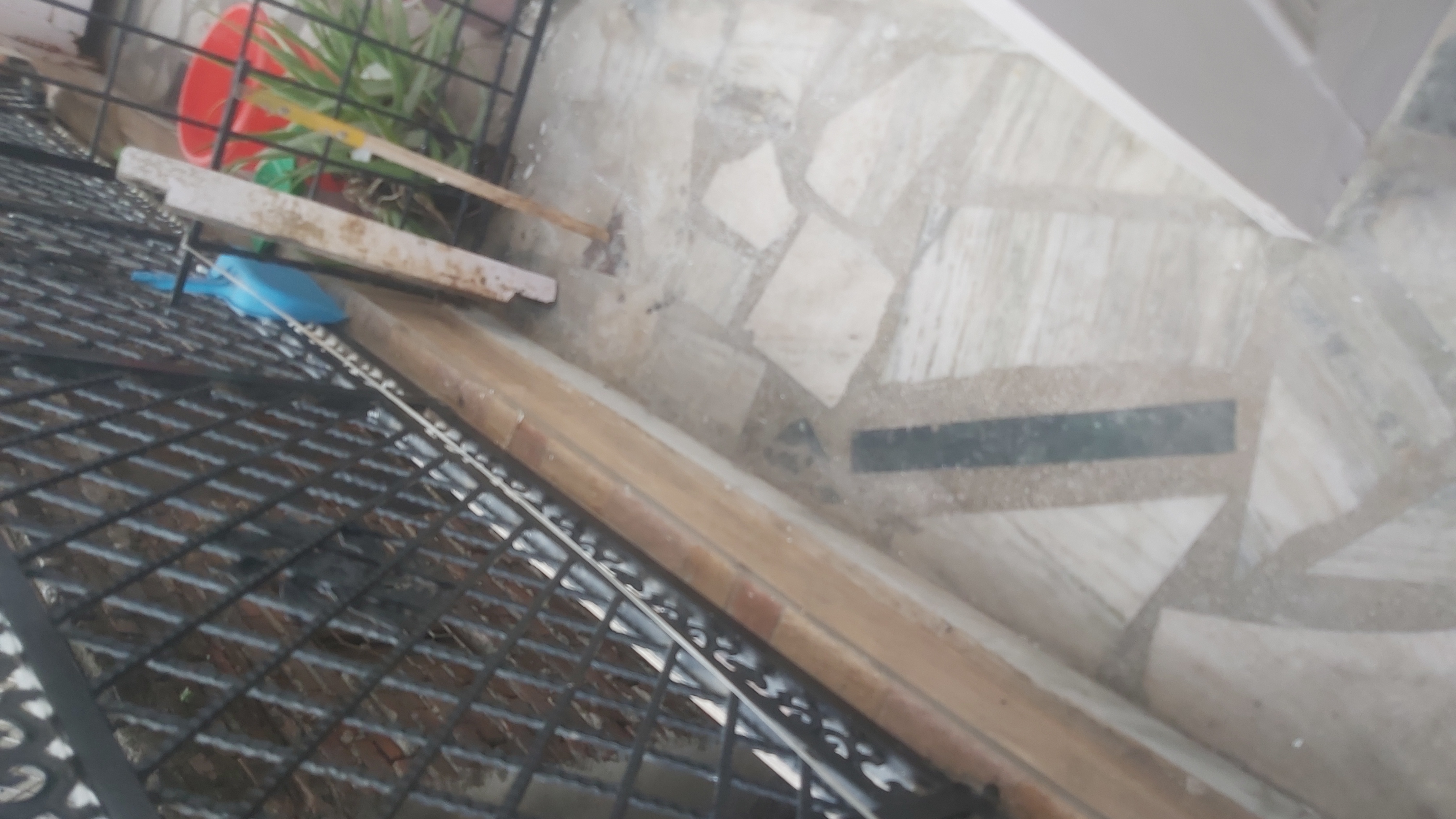 1.5 BHK Builder Floor For Rent in Shashi Gardan Achrya Nike