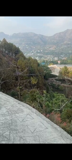  Land – Garden View at Bhimtal - for Sale