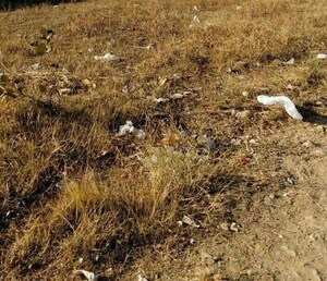  Plot For Sale in Sonegaon