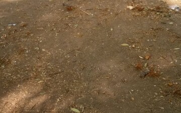 Plot For Sale in Sonegaon