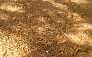 Plot For Sale in Sonegaon
