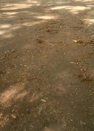  Plot For Sale in Sonegaon